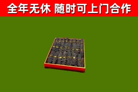 福山回收海参